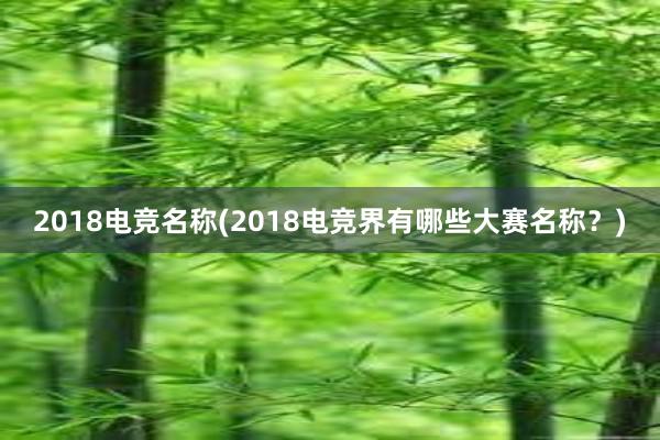 2018电竞名称(2018电竞界有哪些大赛名称？)