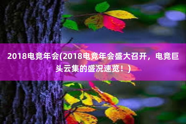 2018电竞年会(2018电竞年会盛大召开，电竞巨头云集的盛况速览！)