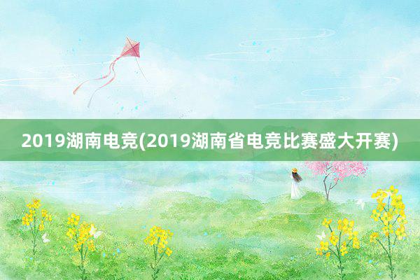 2019湖南电竞(2019湖南省电竞比赛盛大开赛)