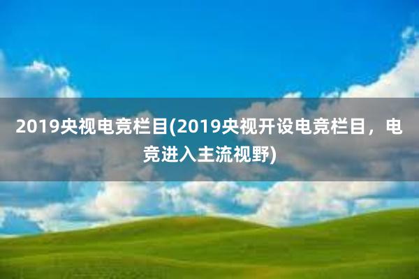 2019央视电竞栏目(2019央视开设电竞栏目，电竞进入主流视野)