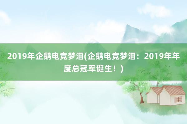 2019年企鹅电竞梦泪(企鹅电竞梦泪：2019年年度总冠军诞生！)