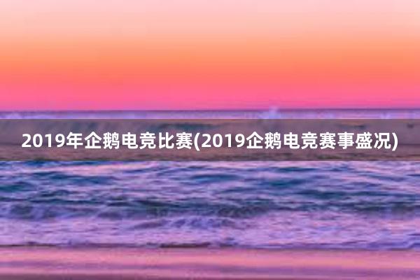 2019年企鹅电竞比赛(2019企鹅电竞赛事盛况)