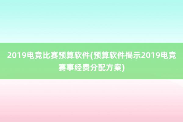 2019电竞比赛预算软件(预算软件揭示2019电竞赛事经费分配方案)