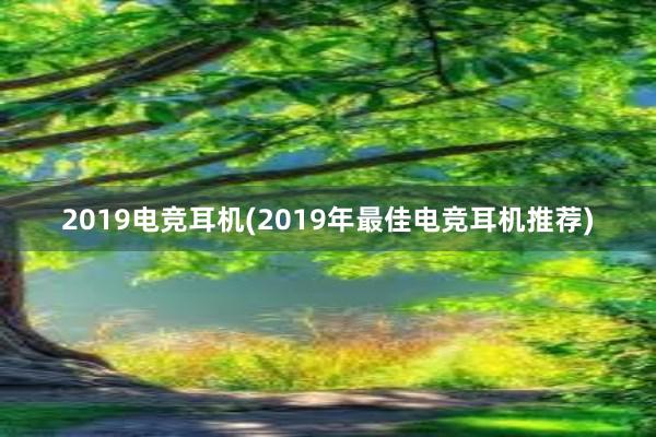 2019电竞耳机(2019年最佳电竞耳机推荐)