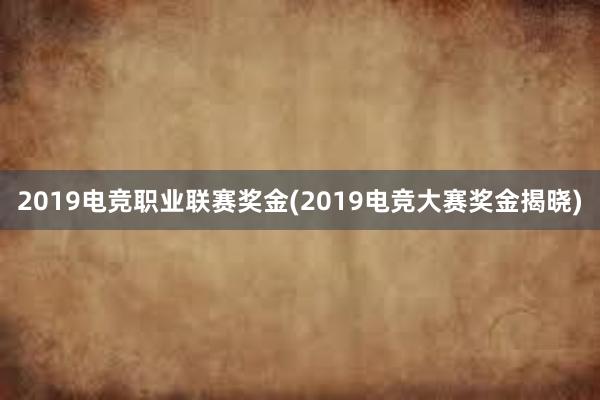 2019电竞职业联赛奖金(2019电竞大赛奖金揭晓)