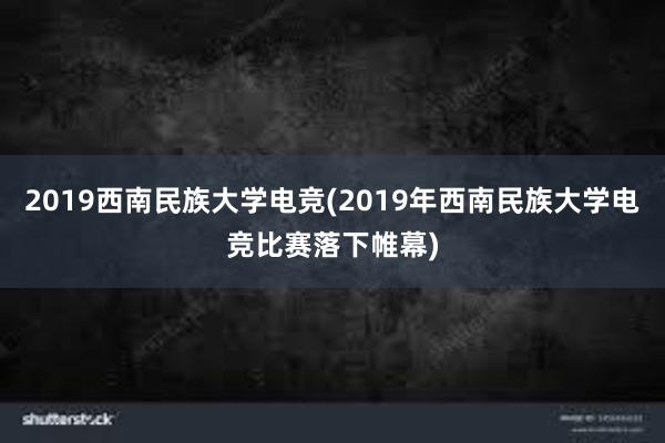 2019西南民族大学电竞(2019年西南民族大学电竞比赛落下帷幕)