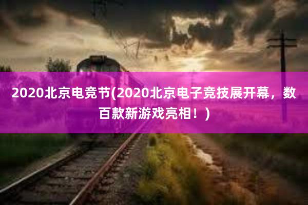 2020北京电竞节(2020北京电子竞技展开幕，数百款新游戏亮相！)