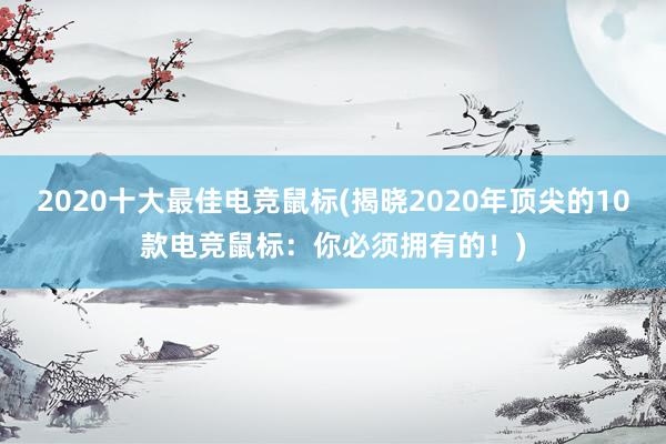 2020十大最佳电竞鼠标(揭晓2020年顶尖的10款电竞鼠标：你必须拥有的！)