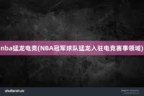 nba猛龙电竞(NBA冠军球队猛龙入驻电竞赛事领域)