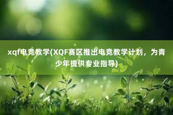 xqf电竞教学(XQF赛区推出电竞教学计划，为青少年提供专业指导)