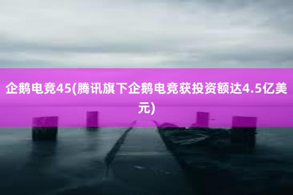 企鹅电竞45(腾讯旗下企鹅电竞获投资额达4.5亿美元)