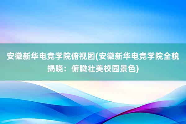 安徽新华电竞学院俯视图(安徽新华电竞学院全貌揭晓：俯瞰壮美校园景色)