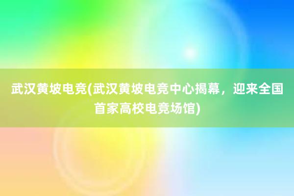 武汉黄坡电竞(武汉黄坡电竞中心揭幕，迎来全国首家高校电竞场馆)