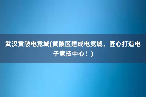 武汉黄陂电竞城(黄陂区建成电竞城，匠心打造电子竞技中心！)