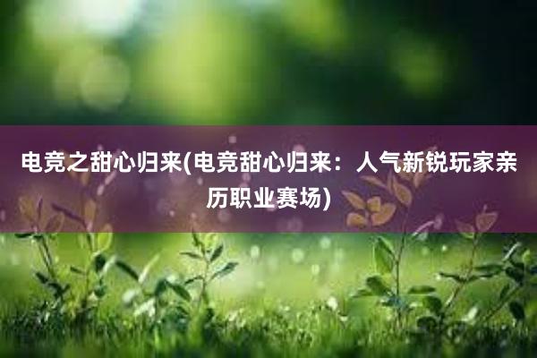 电竞之甜心归来(电竞甜心归来：人气新锐玩家亲历职业赛场)