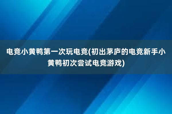 电竞小黄鸭第一次玩电竞(初出茅庐的电竞新手小黄鸭初次尝试电竞游戏)