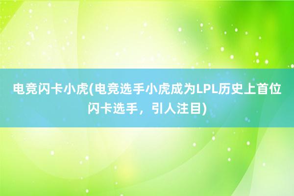 电竞闪卡小虎(电竞选手小虎成为LPL历史上首位闪卡选手，引人注目)