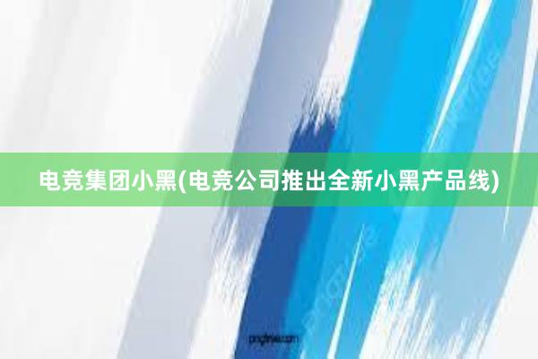 电竞集团小黑(电竞公司推出全新小黑产品线)