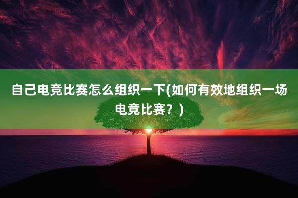 自己电竞比赛怎么组织一下(如何有效地组织一场电竞比赛？)