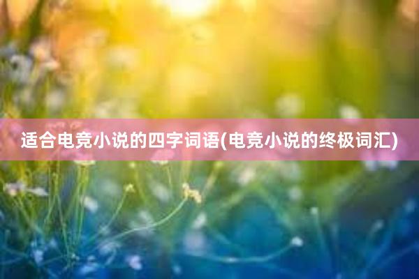 适合电竞小说的四字词语(电竞小说的终极词汇)