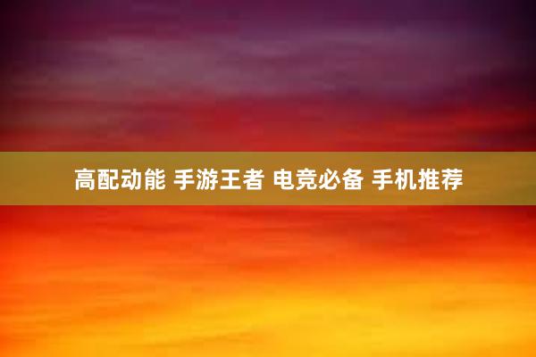 高配动能 手游王者 电竞必备 手机推荐