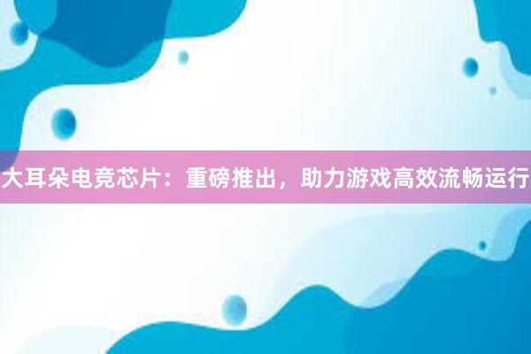 大耳朵电竞芯片：重磅推出，助力游戏高效流畅运行