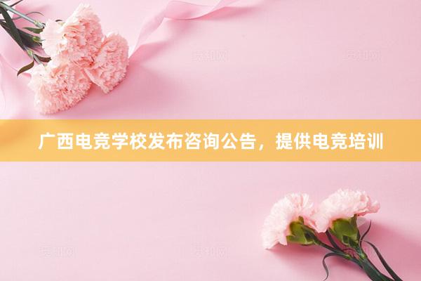 广西电竞学校发布咨询公告，提供电竞培训