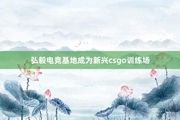 弘毅电竞基地成为新兴csgo训练场