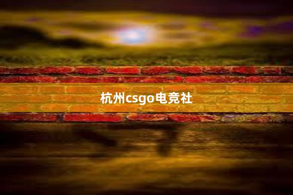 杭州csgo电竞社