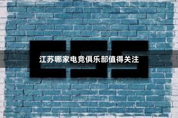 江苏哪家电竞俱乐部值得关注