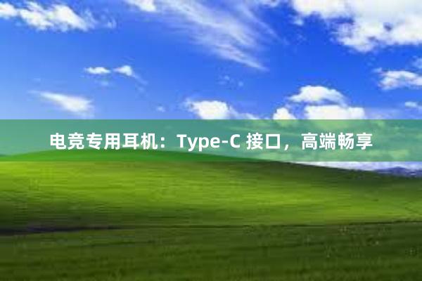 电竞专用耳机：Type-C 接口，高端畅享