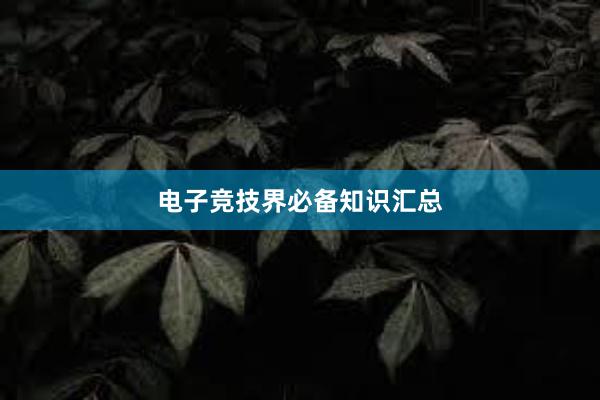 电子竞技界必备知识汇总