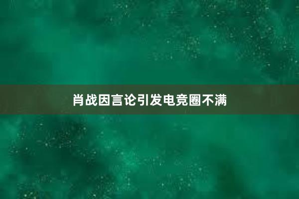 肖战因言论引发电竞圈不满